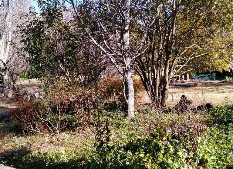 Pension Dutchess On Lake Guesthouse