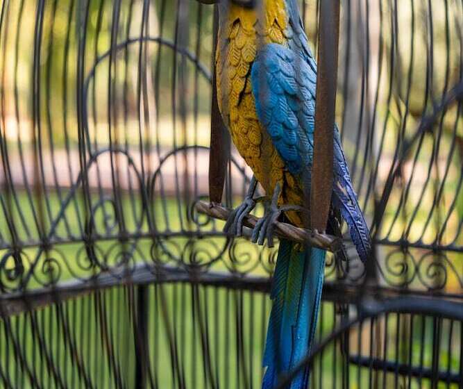 مبيت وإفطار Palais Hassoun Marrakech