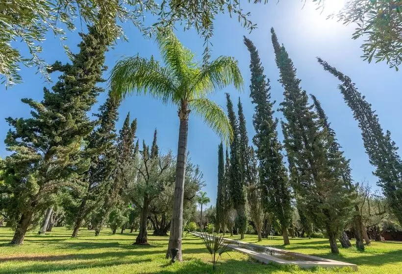 Aamiaismajoitus (B&B) Palais Hassoun Marrakech