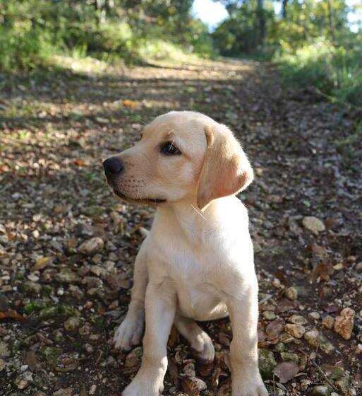 민박 Trulli Del Bosco
