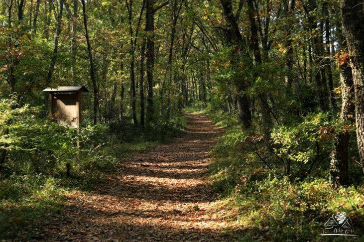 민박 Trulli Del Bosco