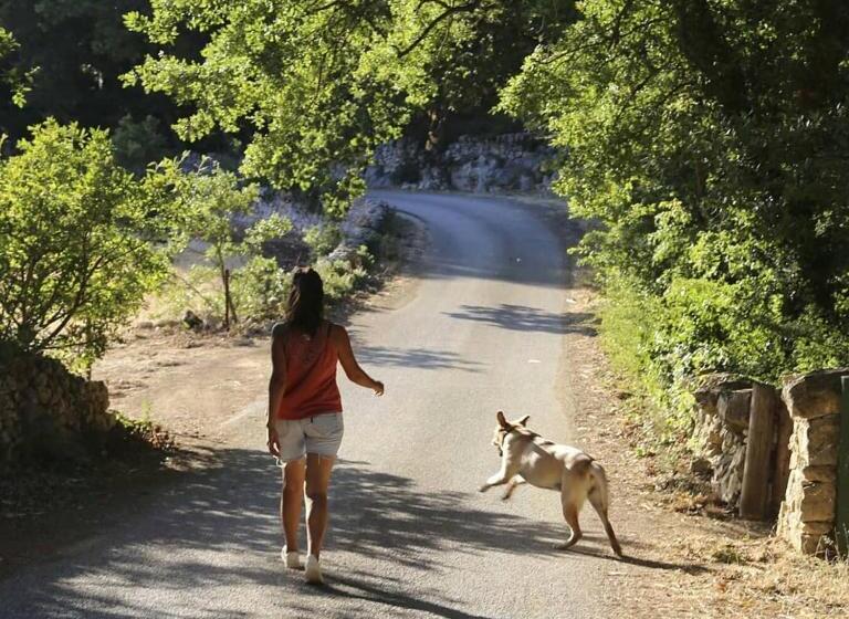 민박 Trulli Del Bosco