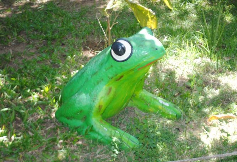 هتل Chalet Suisse