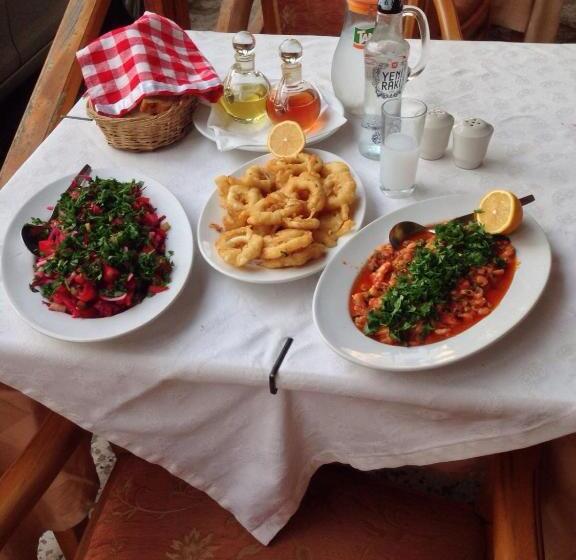 בית מלון כפרי Efes