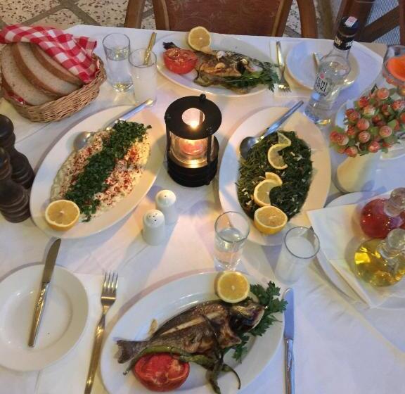 בית מלון כפרי Efes