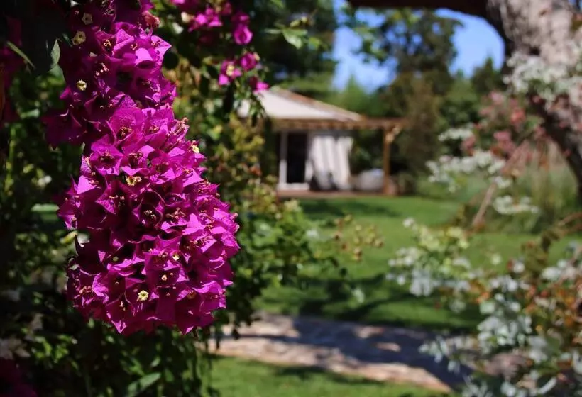 ホテル La Bastide Des Salins
