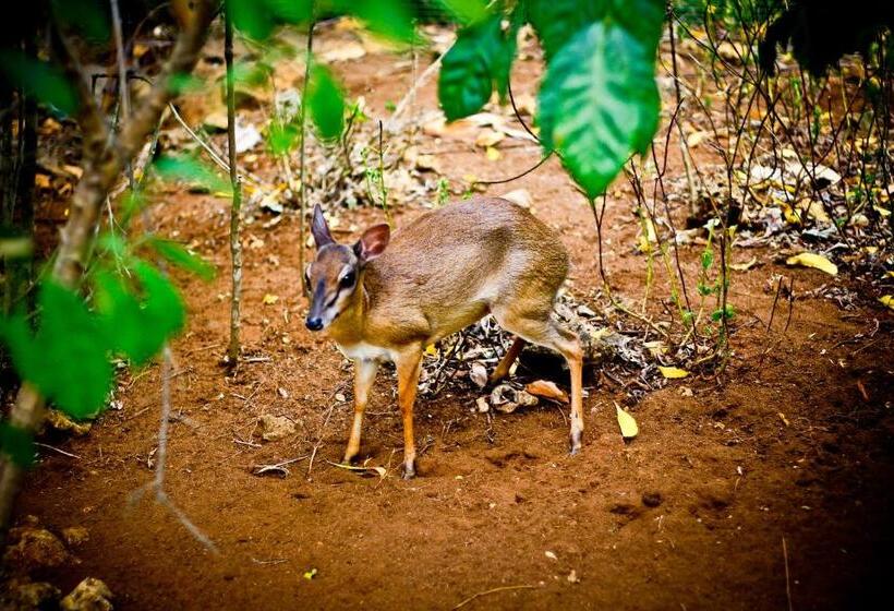 בית מלון כפרי Samaki Lodge