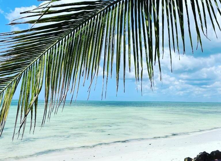 בית מלון כפרי Samaki Lodge