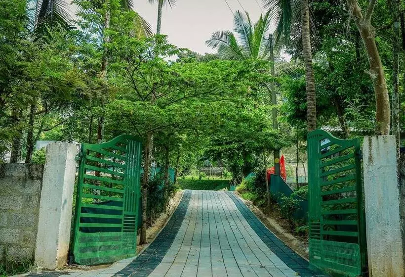 Aamiaismajoitus (B&B) Oryzon Resorts