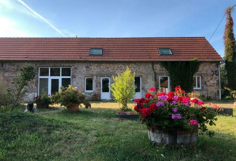 بنسيون Chambre Terre