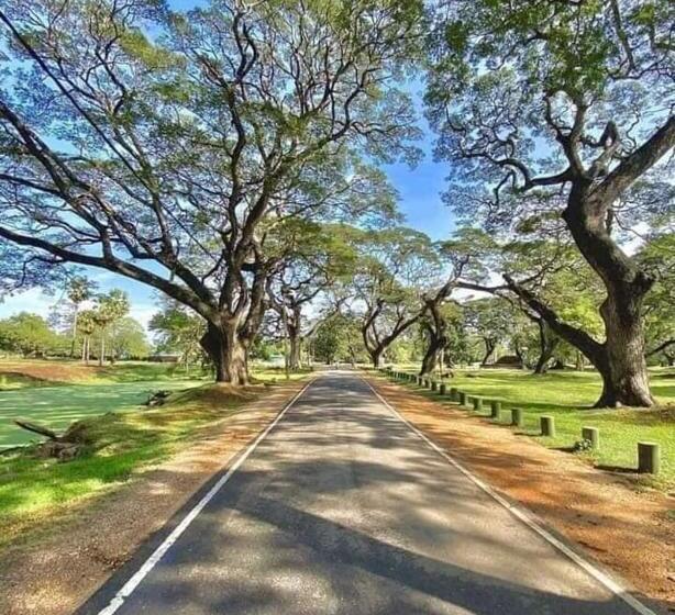 ペンション Ari Guest House