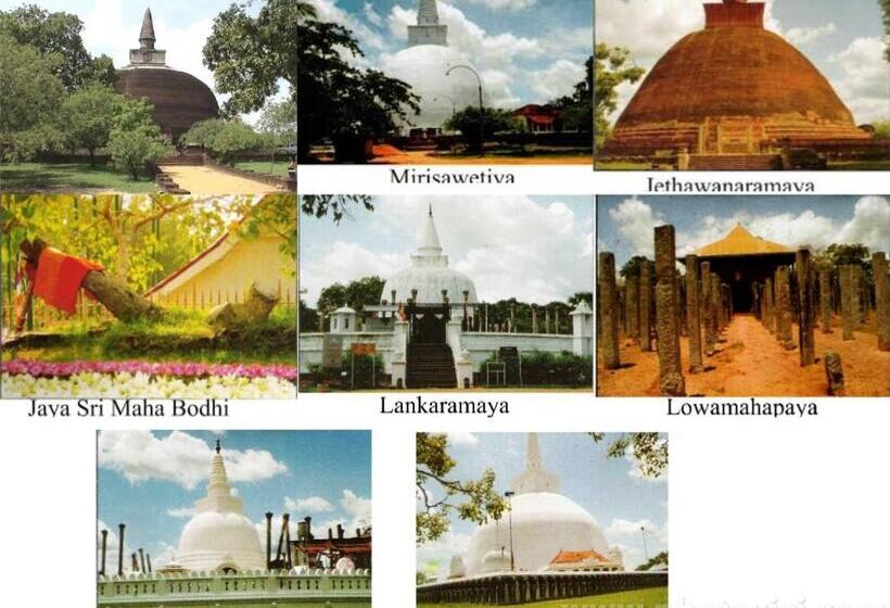 ペンション Ari Guest House