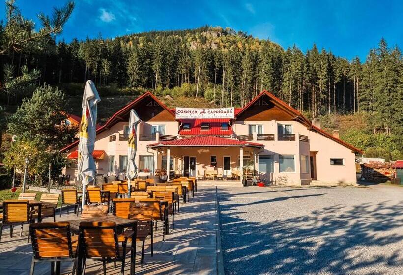 פנסיון Complex Caprioara Toplita