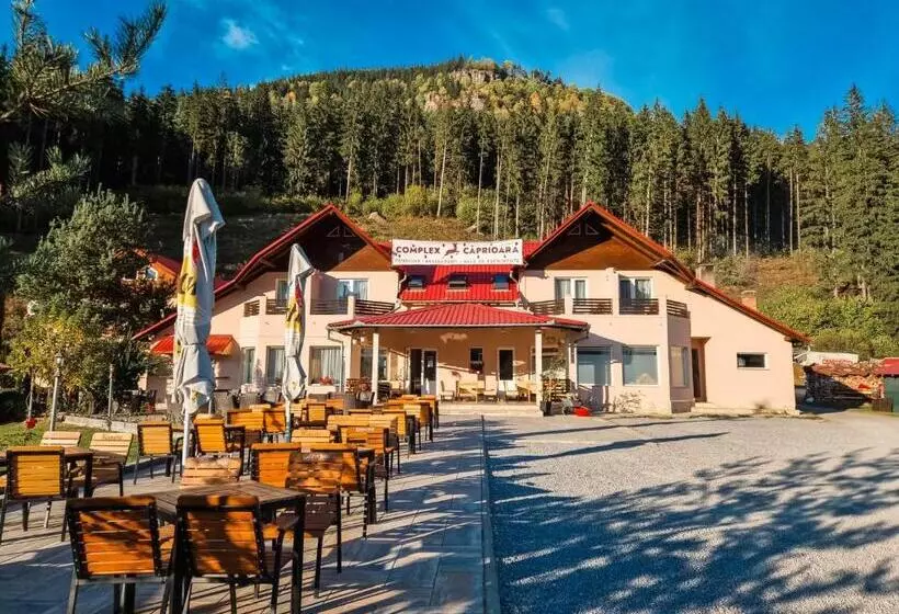 ペンション Complex Caprioara Toplita