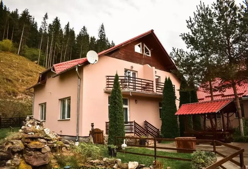 ペンション Complex Caprioara Toplita