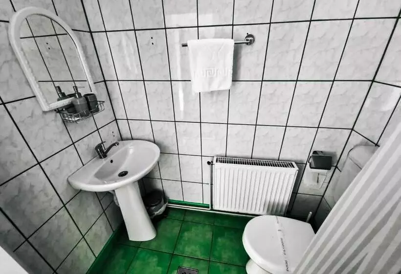 ペンション Complex Caprioara Toplita