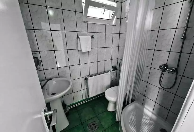 ペンション Complex Caprioara Toplita