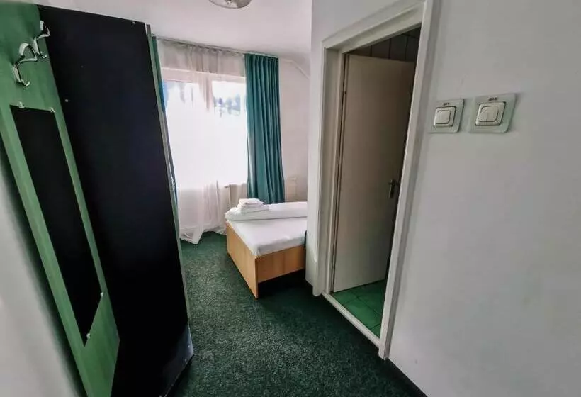 ペンション Complex Caprioara Toplita