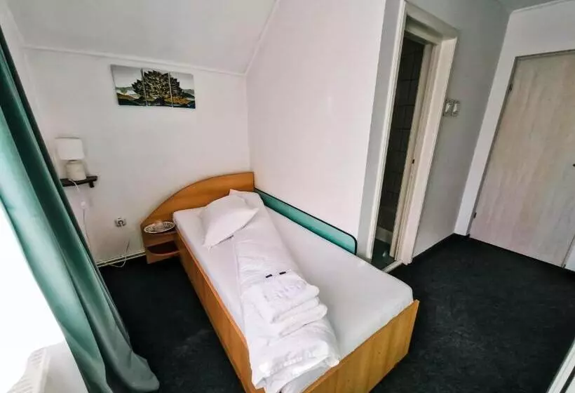 ペンション Complex Caprioara Toplita