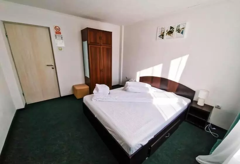 ペンション Complex Caprioara Toplita