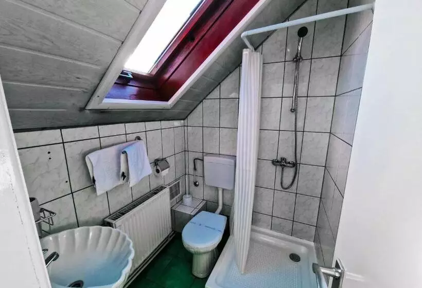 ペンション Complex Caprioara Toplita