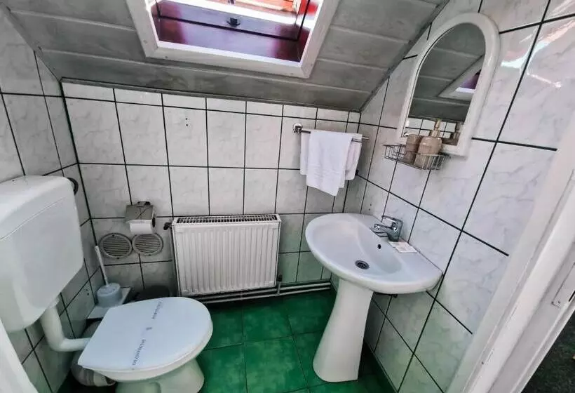 ペンション Complex Caprioara Toplita