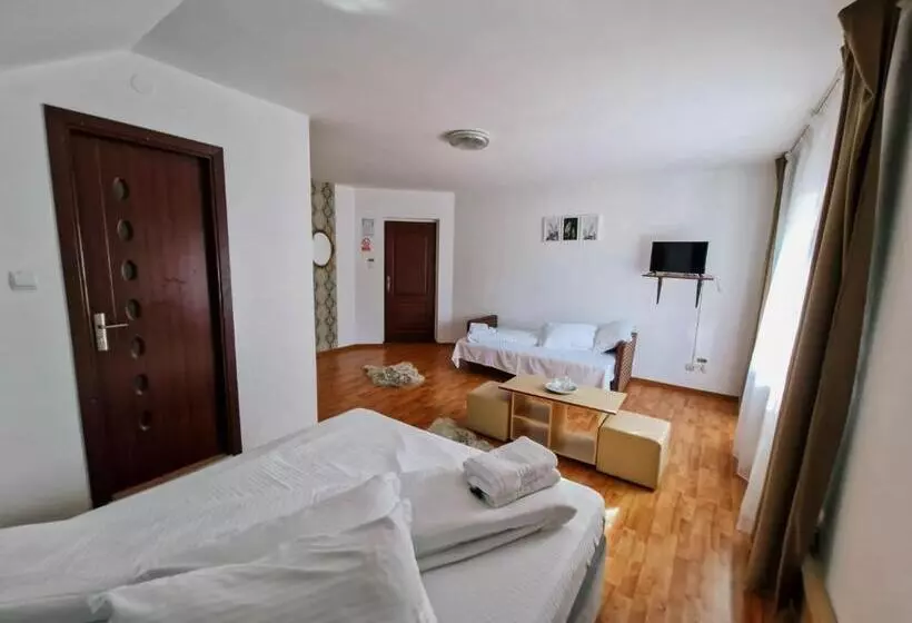 ペンション Complex Caprioara Toplita