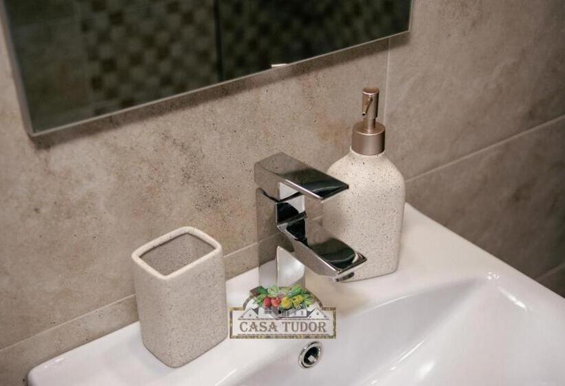 ペンション Casa Tudor