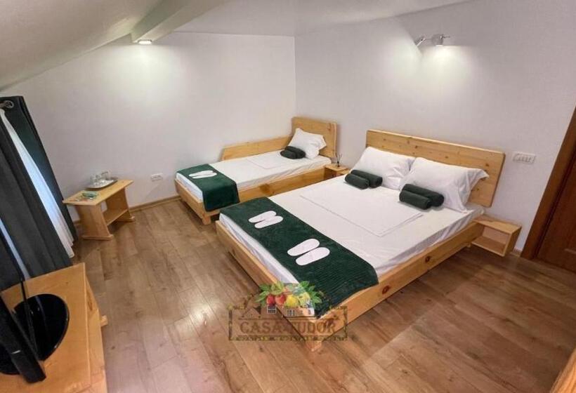 ペンション Casa Tudor