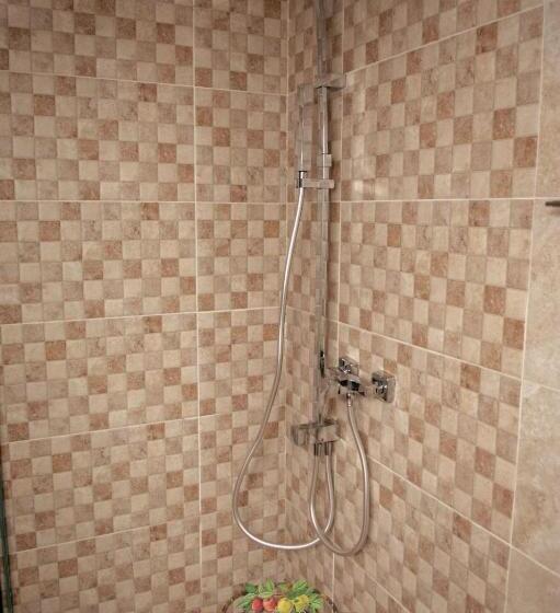 ペンション Casa Tudor