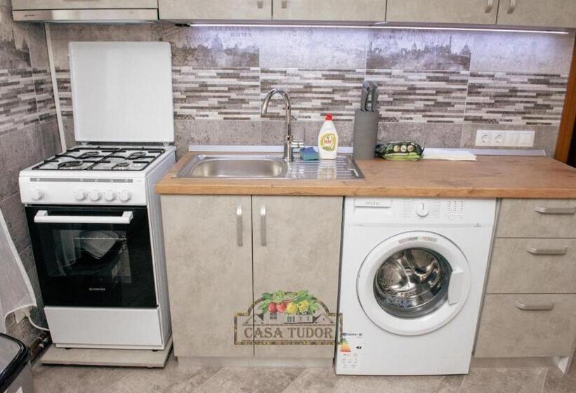 ペンション Casa Tudor