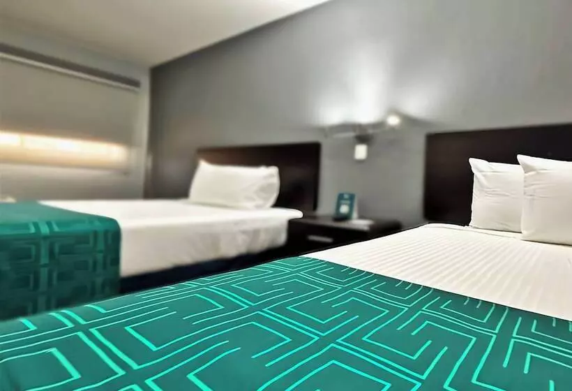 ホテル Inhouse Obregón