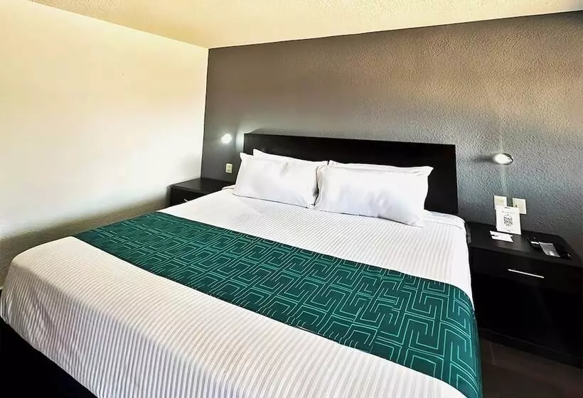 ホテル Inhouse Obregón