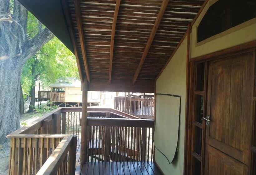 هتل Nako Okavango Guesthouse