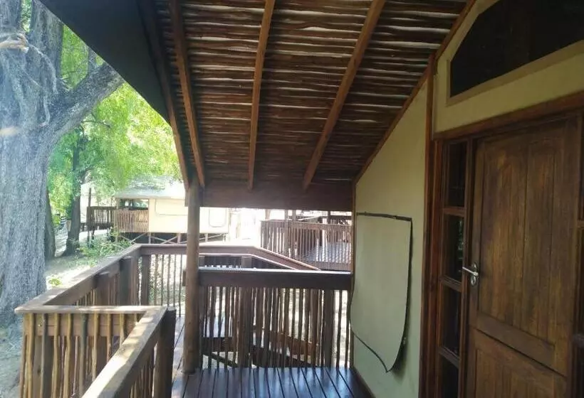 هتل Nako Okavango Guesthouse