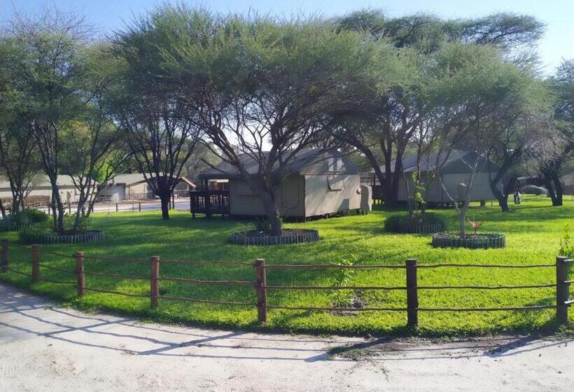 هتل Nako Okavango Guesthouse