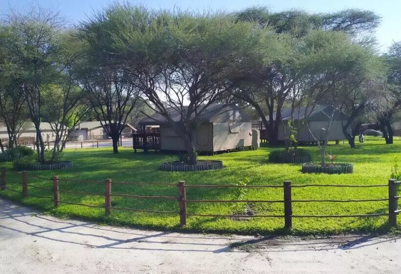 هتل Nako Okavango Guesthouse