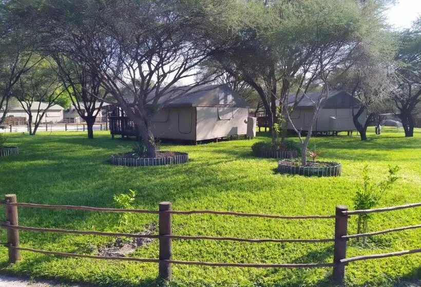 هتل Nako Okavango Guesthouse