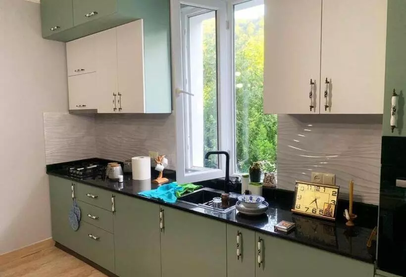 پانسیون Nargizi Guest House