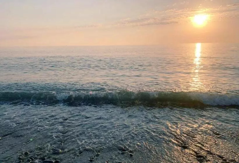 پانسیون Nargizi Guest House