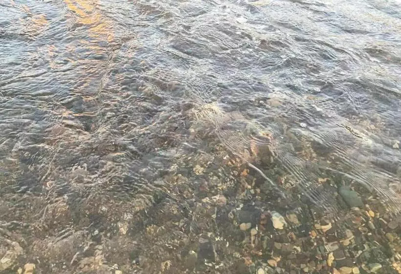 پانسیون Nargizi Guest House