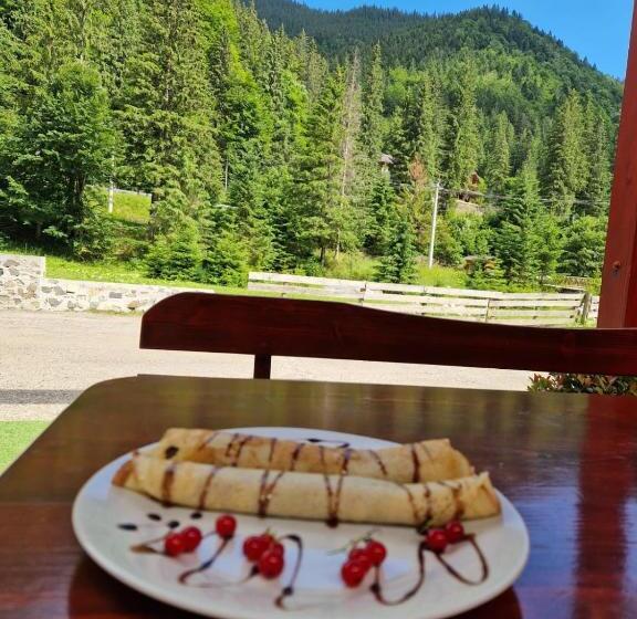 Pensiunea Cota 1200 Piscul Negru