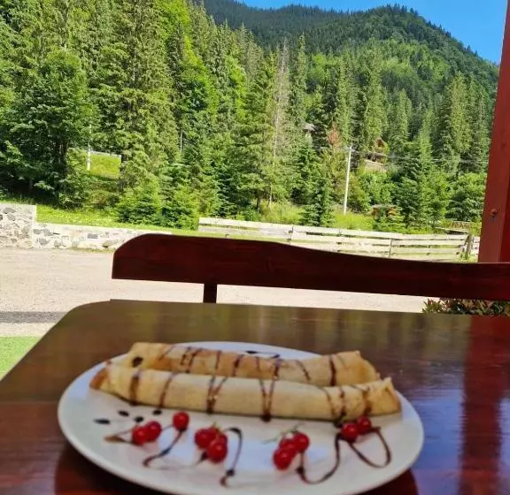 Pensiunea Cota 1200 Piscul Negru