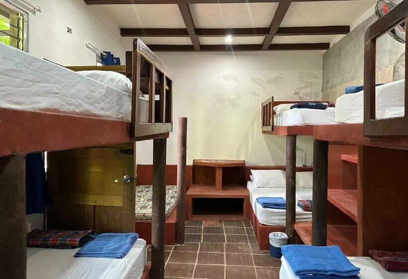 Alberg Out Back Zapote