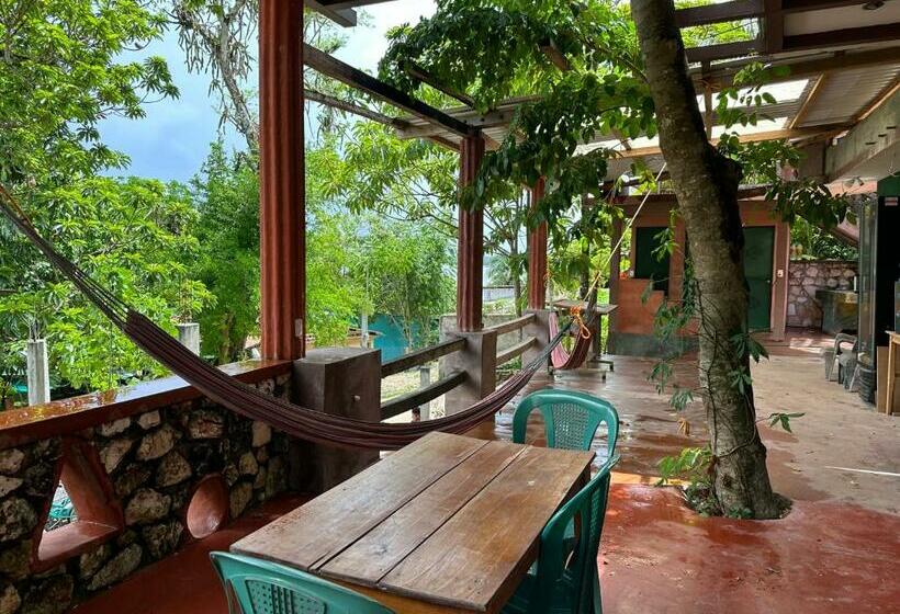 Alberg Out Back Zapote