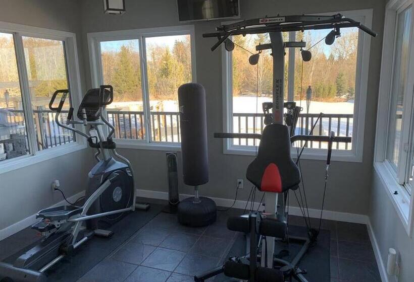 Pansiyon Dragonfly Inn Loft & Walkout Suites