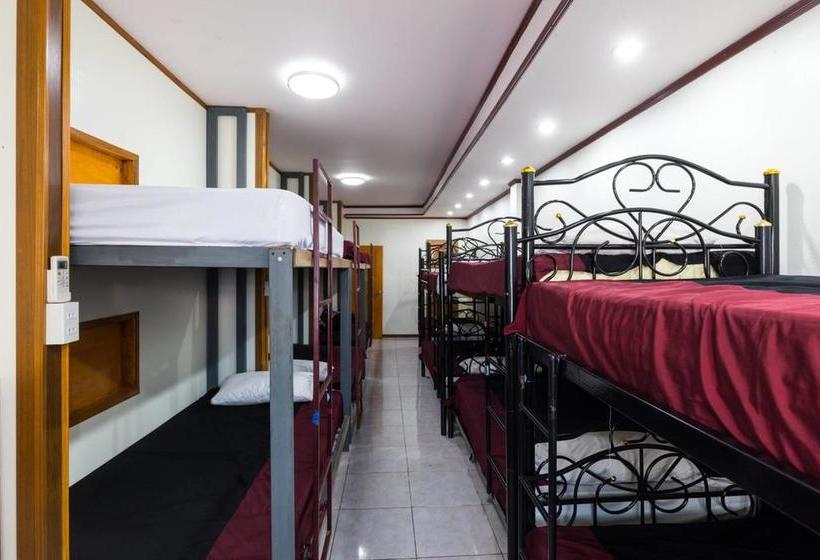 הוסטל Backpacker Social Experience