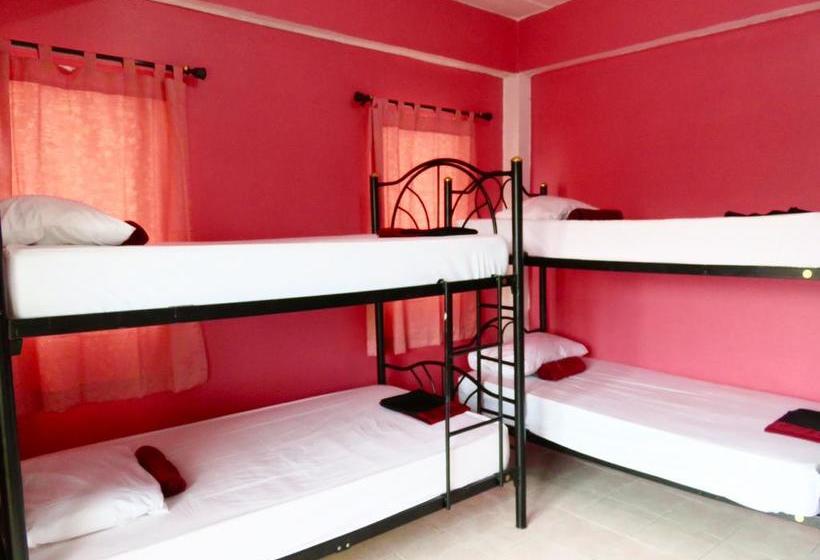 הוסטל Backpacker Social Experience