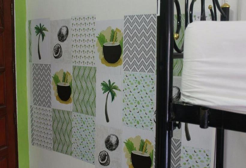 הוסטל Backpacker Social Experience