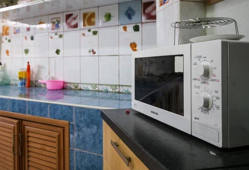 הוסטל Backpacker Social Experience